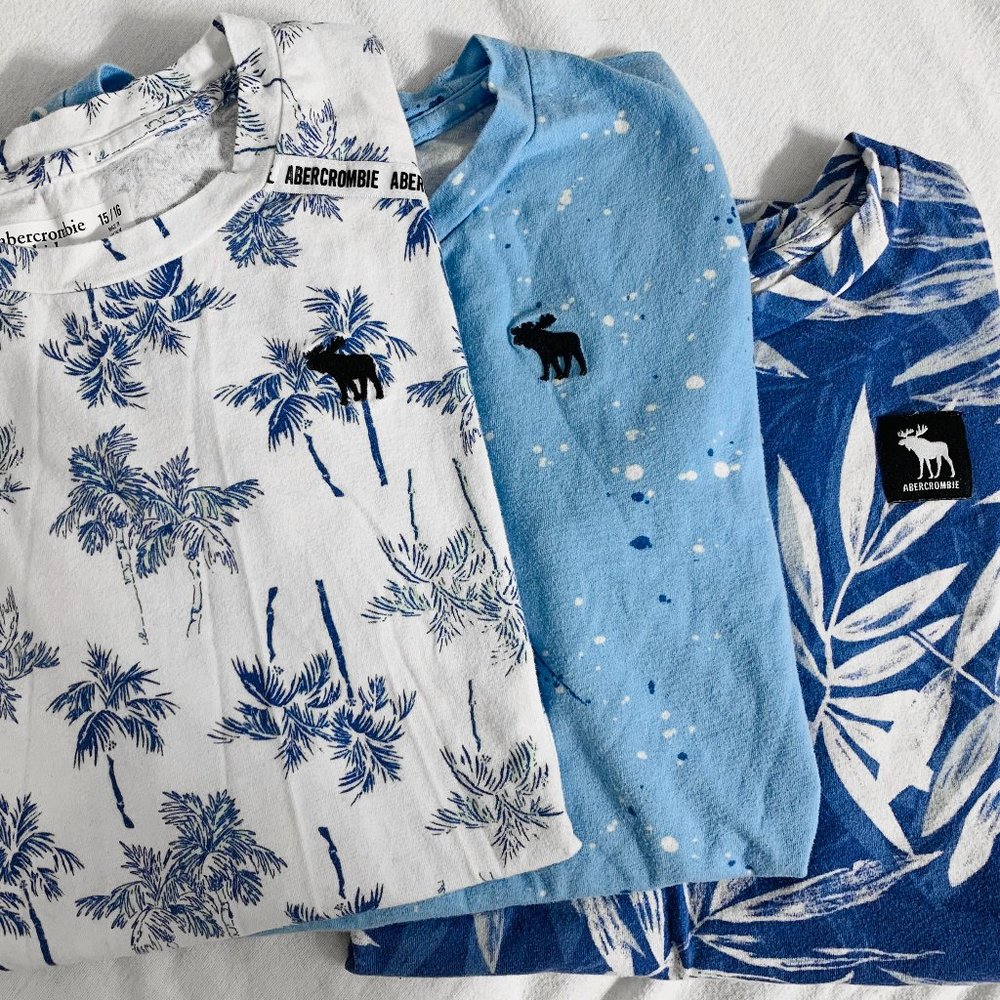 Abercrombie Kids T-shirts - Lot of 3 Size 15/16